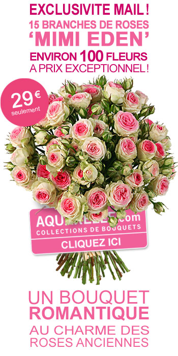 Rencontre pays de retz